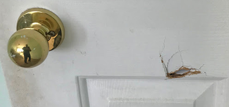 interior door hole repair Sonoma